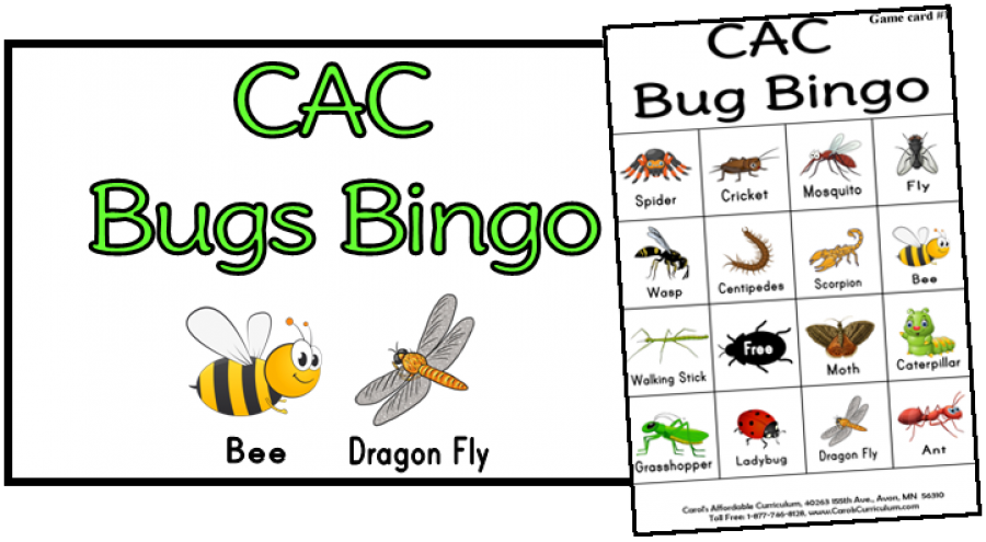 Bugs Bingo